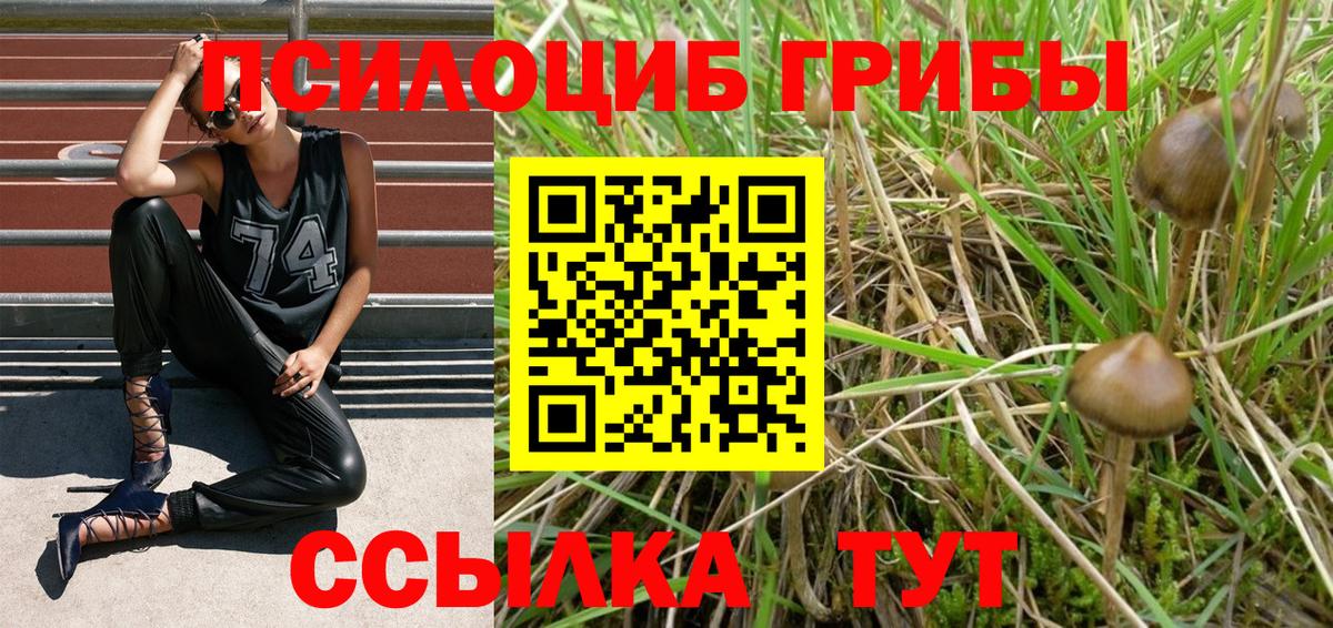 Галлюциногенные грибы GOLDEN TEACHER  Галлюциногенные грибы Magic Shrooms  Рославль  Вход с VPN 